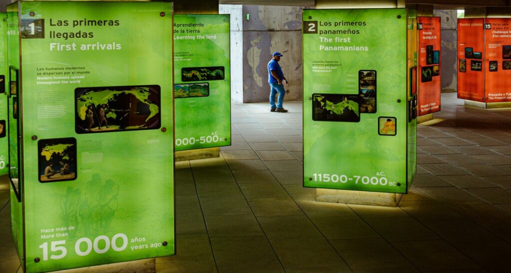 merchandising digital