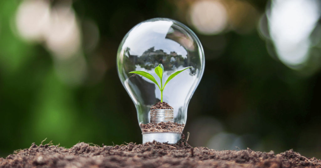 Comunicação eco friendly: como ser mais ecológico e sustentável ao passar sua mensagem